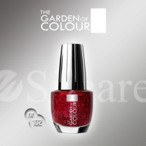 Garden Of Colour nagų lakas - 102