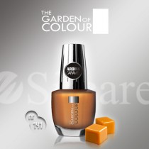 Garden Of Colour nagų lakas - 141