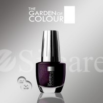 Garden Of Colour nagų lakas - 29
