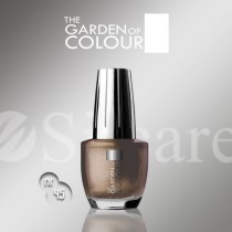 Garden Of Colour nagų lakas - 45