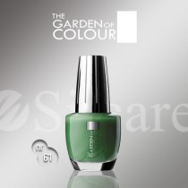 Garden Of Colour nagų lakas - 61