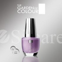 Garden Of Colour nagų lakas - 66