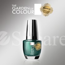 Garden Of Colour nagų lakas - 81