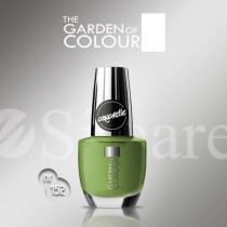 Garden Of Colour nagų lakas - 152