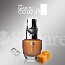 Garden Of Colour nagų lakas - 141