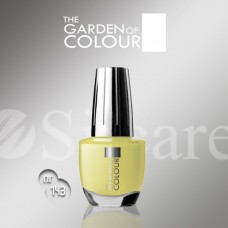 Garden Of Colour nagų lakas - 143