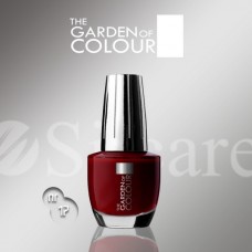 Garden Of Colour nagų lakas - 17