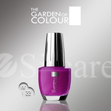 Garden Of Colour nagų lakas - 22