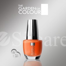 Garden Of Colour nagų lakas - 31