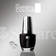 Garden Of Colour nagų lakas - 37