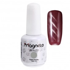 Magnetinis gelinis lakas, Katės akis, 73