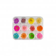 Džiovintų gėlyčių rinkinys