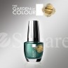 Garden Of Colour nagų lakas - 81